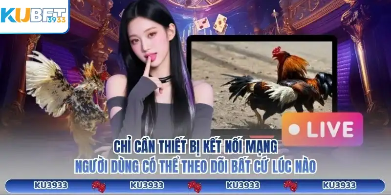 Chỉ cần thiết bị kết nối mạng, người dùng có thể theo dõi bất cứ lúc nào